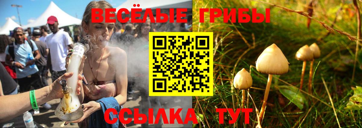 Бугуруслан  Галлюциногенные грибы прущие грибы  Псилоцибиновые грибы мухоморы  купить наркоту  Вход с VPN 